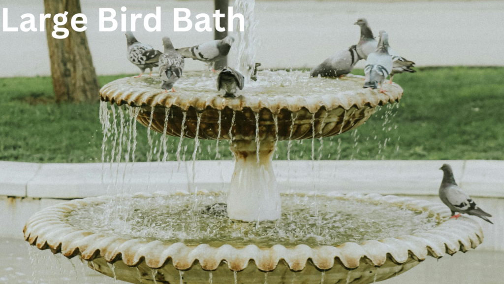 Large Bird Bath