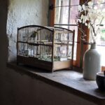 Birds Cage