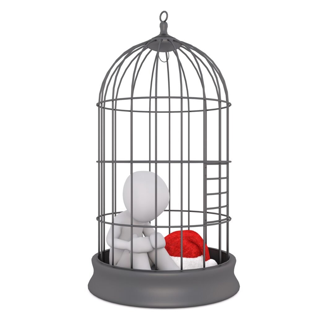 Parakeet Cages