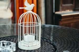 Cage For Cockatiel