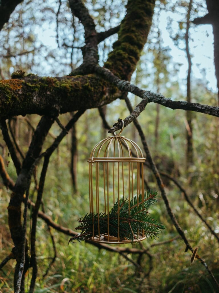 Lovebird Cage