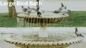 What is a Large Bird Bath ?