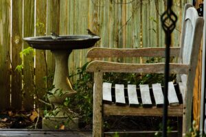 Best Modern Birdbath