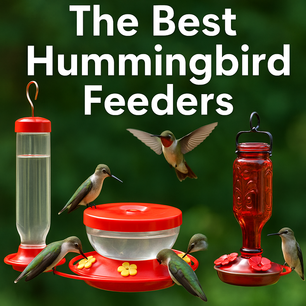 Best Hummingbird Feeders